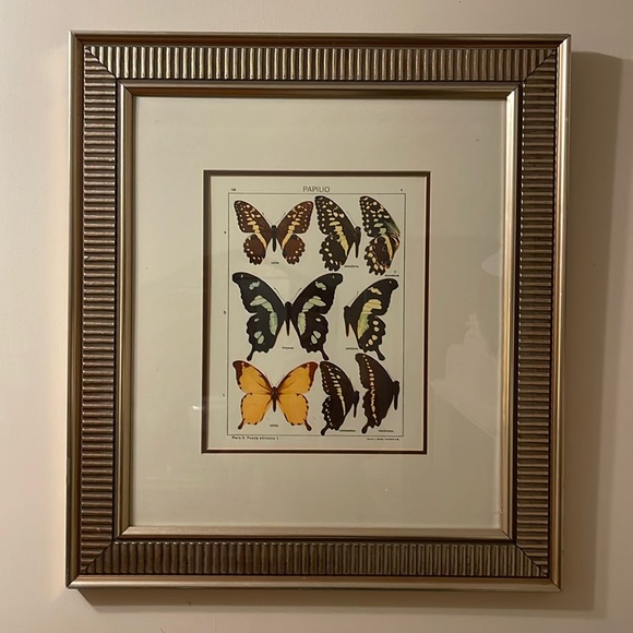 Large butterfly print - Picture 1 of 4